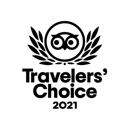 Logo del premio Travelers' Choice 2021 con gufo stilizzato.